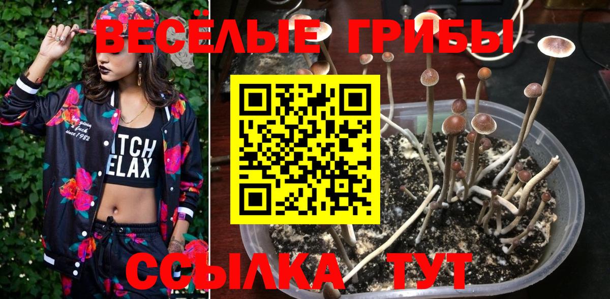 Псилоцибиновые грибы MAGIC MUSHROOMS Дмитров